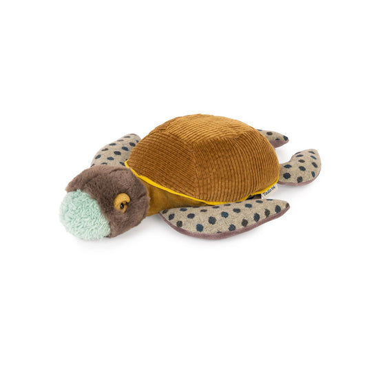 Tout autour du monde - little turtle