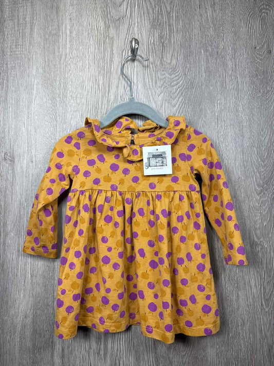 Tea Collection Size 9-12m Dress