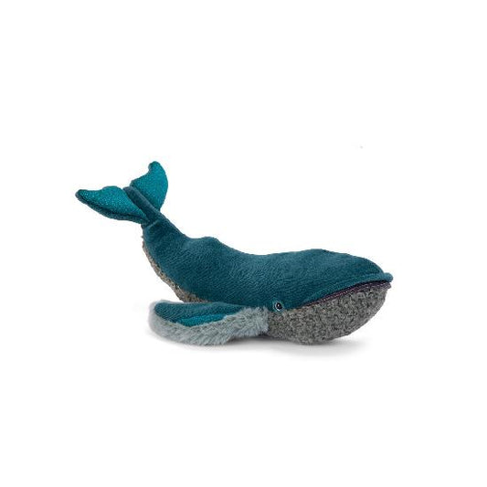 tout autour du monde - little whale