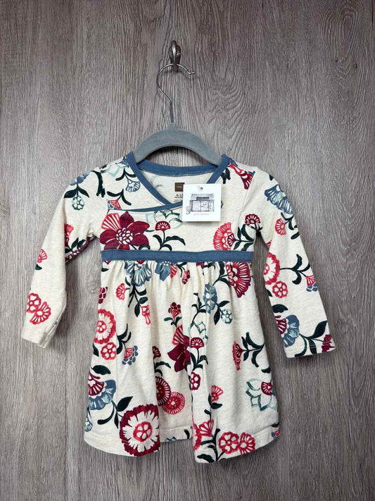 Tea Collection Size 6-12m Dress