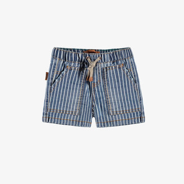 Striped Denim Shorts