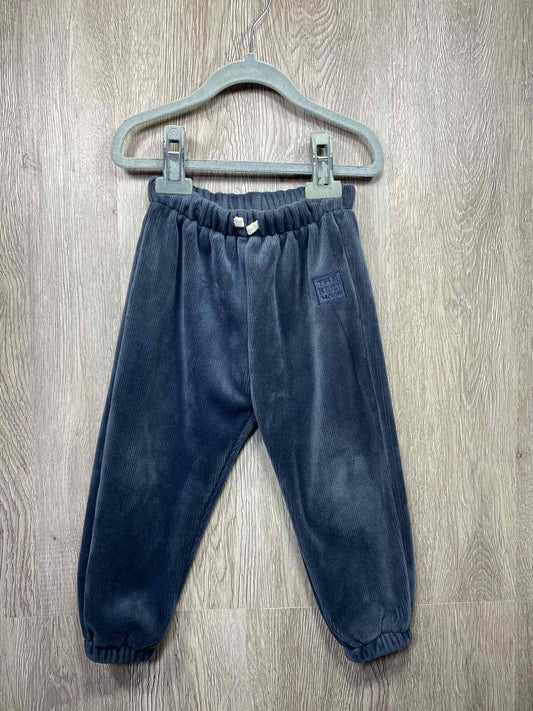 Zara Size 2-3y Pants