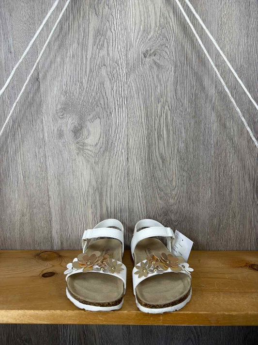 Size C11 Summer