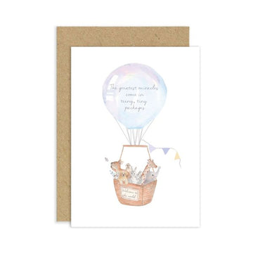 Ballon and Animals, Baby