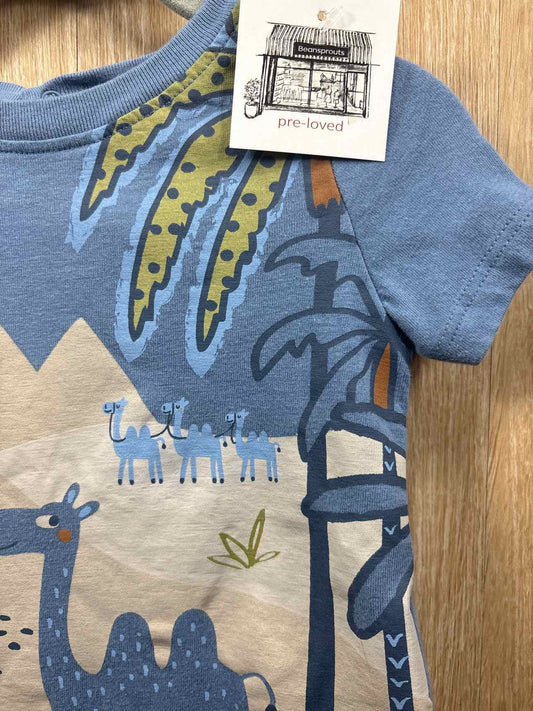 Size 9-12m Shirt