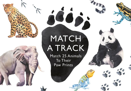 Memory Game - Match a track