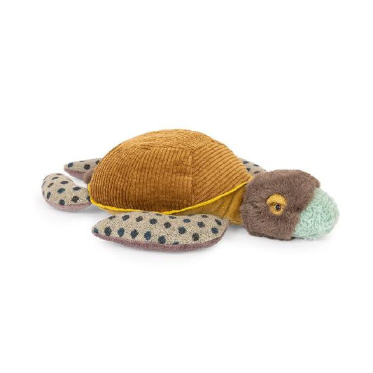 Tout autour du monde - little turtle