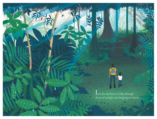 Over and Under the Rainforest