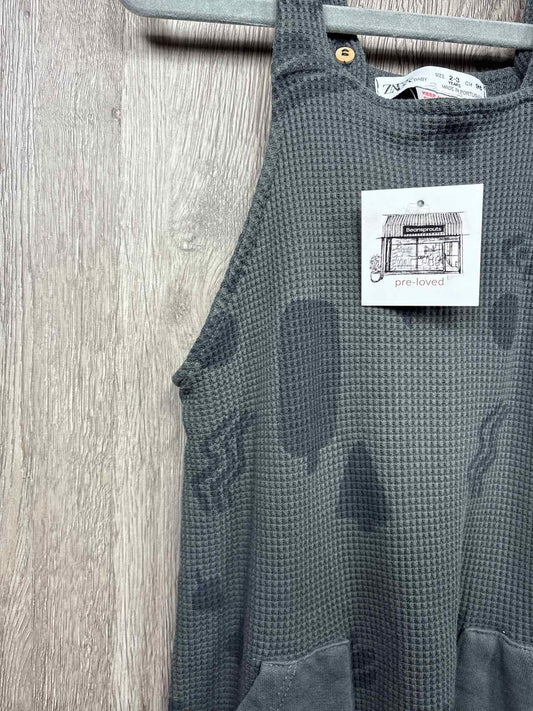 Zara Size 2-3y Overalls