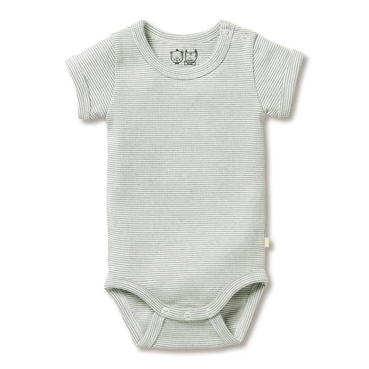 Organic Stripe Rib Bodysuit - Fern
