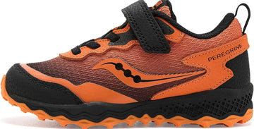 Peregrine - Black and Orange