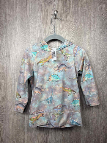 Size 2y Hoodie