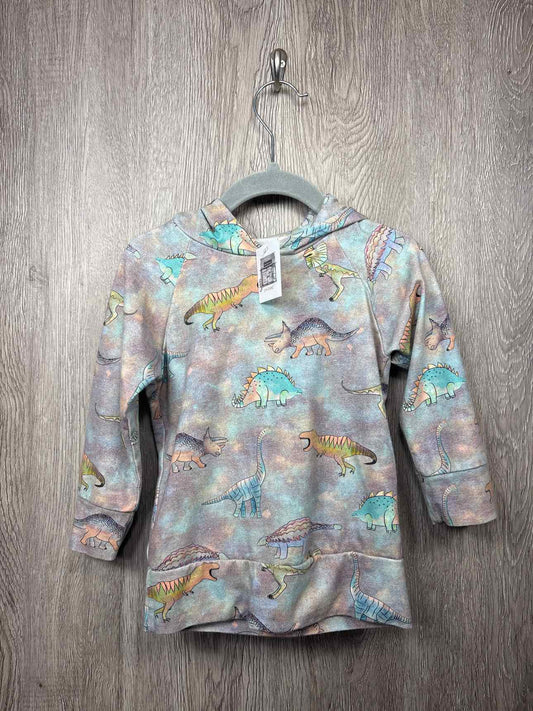 Size 2y Hoodie