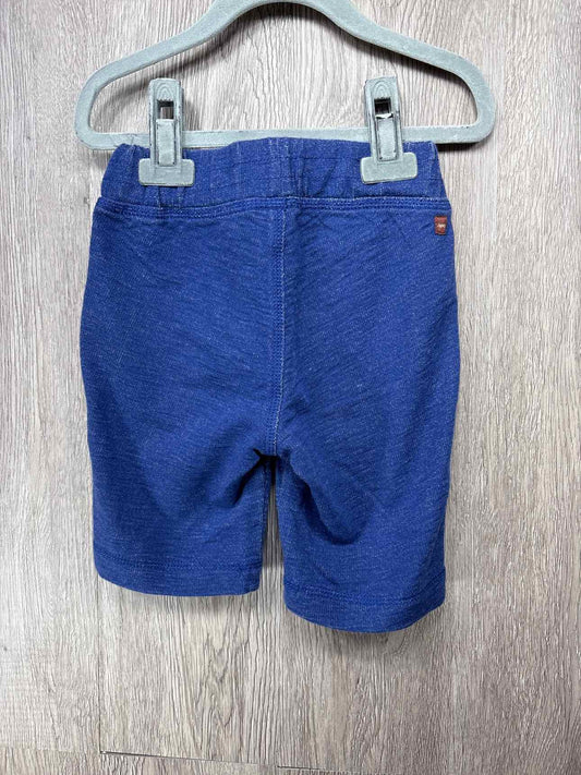 Tea Collection Child Size 3y Shorts