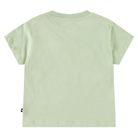 Enzo - misty green