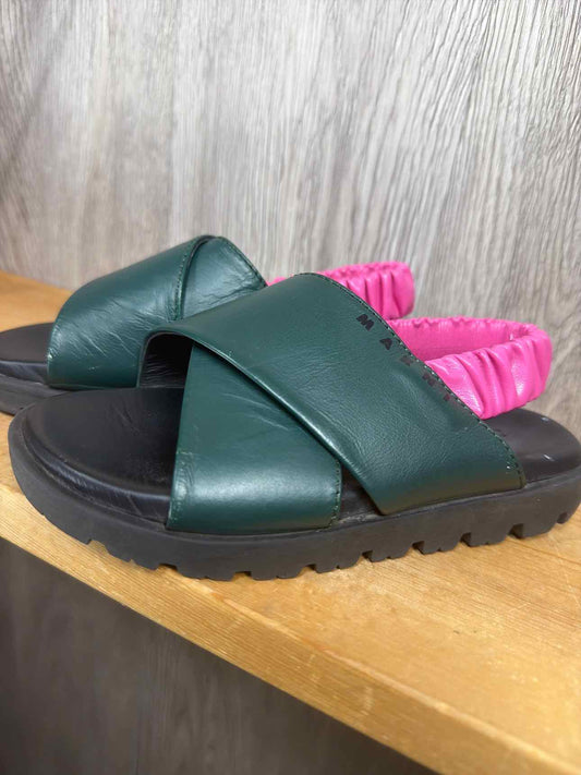 Size C11 Summer