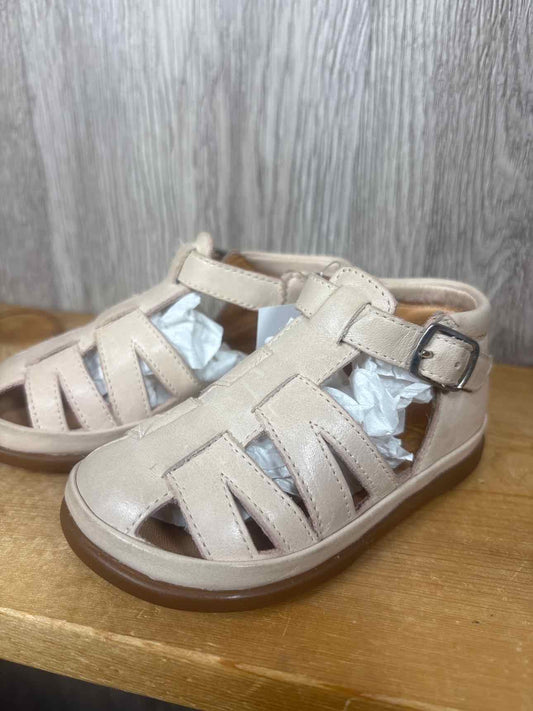 Pomdapi Size C5 Summer