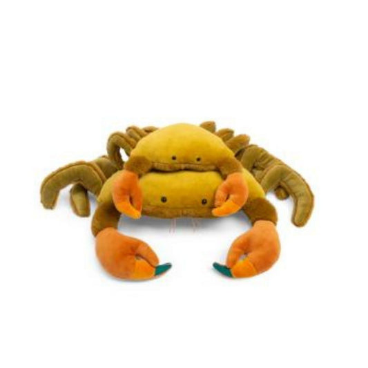Tout autour - Large crab