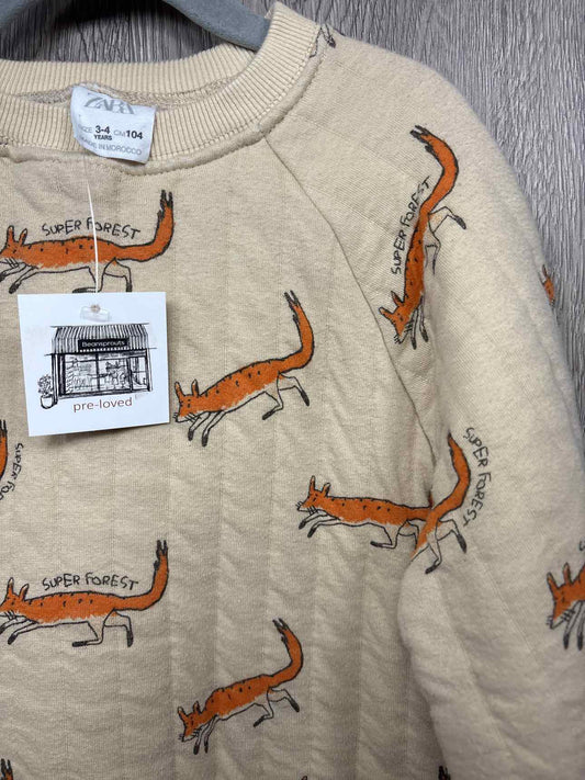 Zara Size 3-4y Shirt