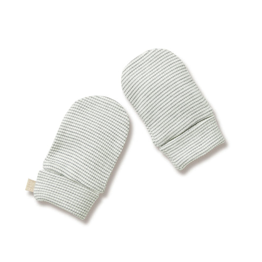 Organic Stripe Mittens - Fern