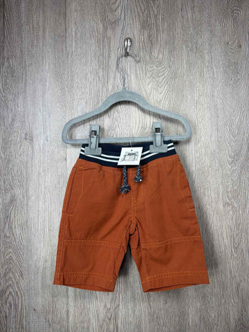 Tea Collection Child Size 3y Shorts