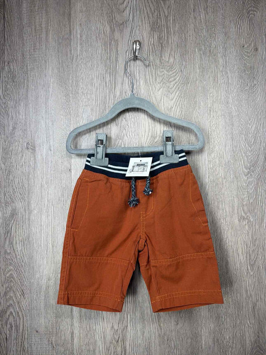 Tea Collection Child Size 3y Shorts