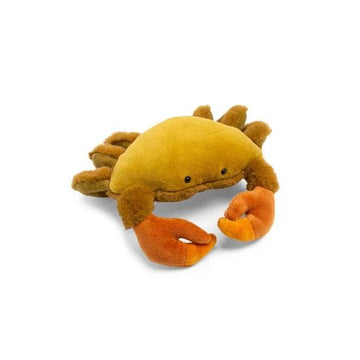 Tout autour - Small crab