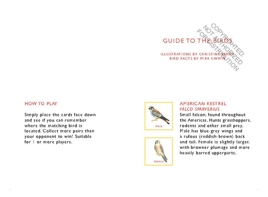 Match a pair of birds