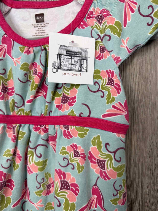 Tea Collection Size 2y Dress