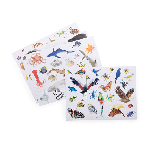 tout autour - animal stickers