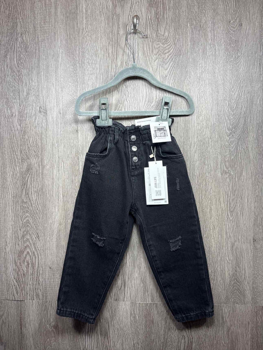 Zara Size 2-3y Pants