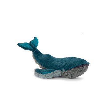 tout autour du monde - little whale