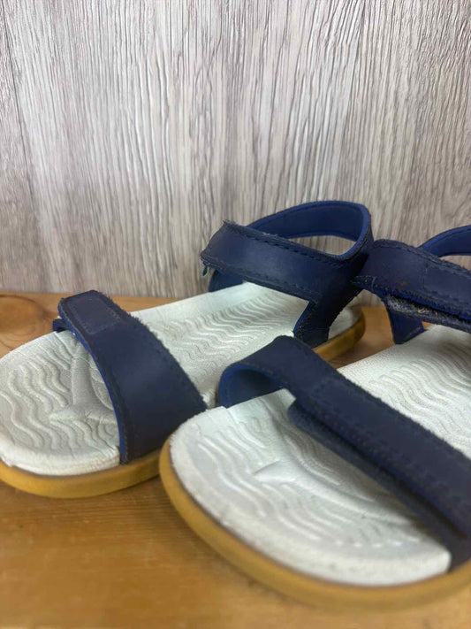 Native Size C9 Summer