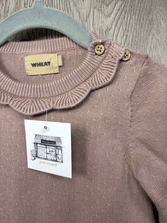 Wheat Size 12-18m Dress