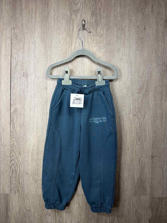 Zara Size 4y Pants