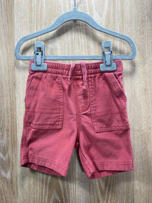 Tea Collection Size 18-24m Shorts