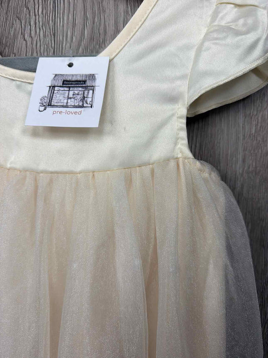 Size 2-3y Dress