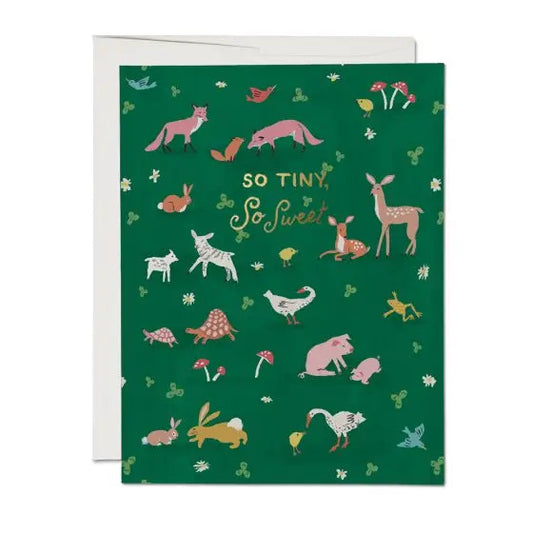 Tiny animals, baby card