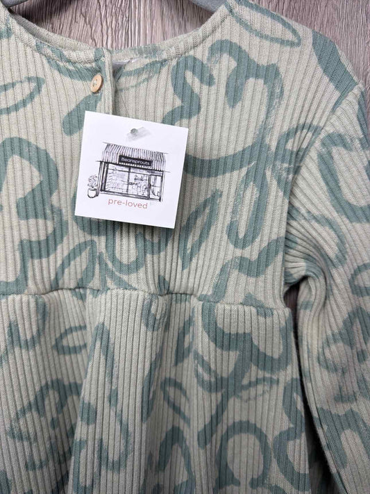 Zara Size 2-3y Dress