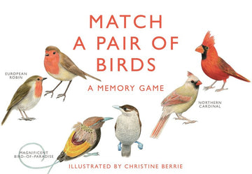 Memory Game - Match a pair of birds