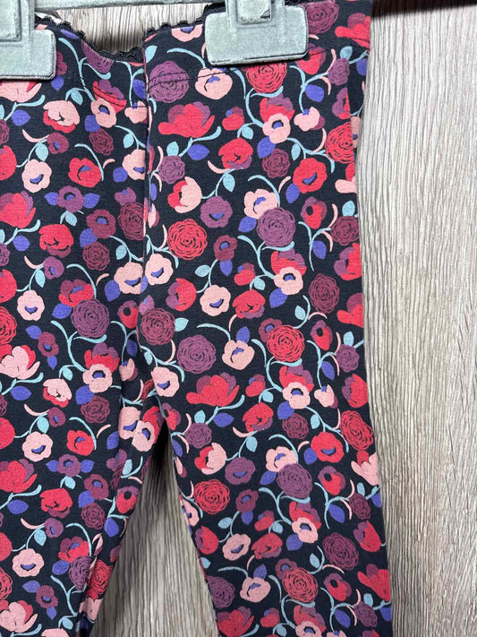 Tea Collection Size 2y Pants