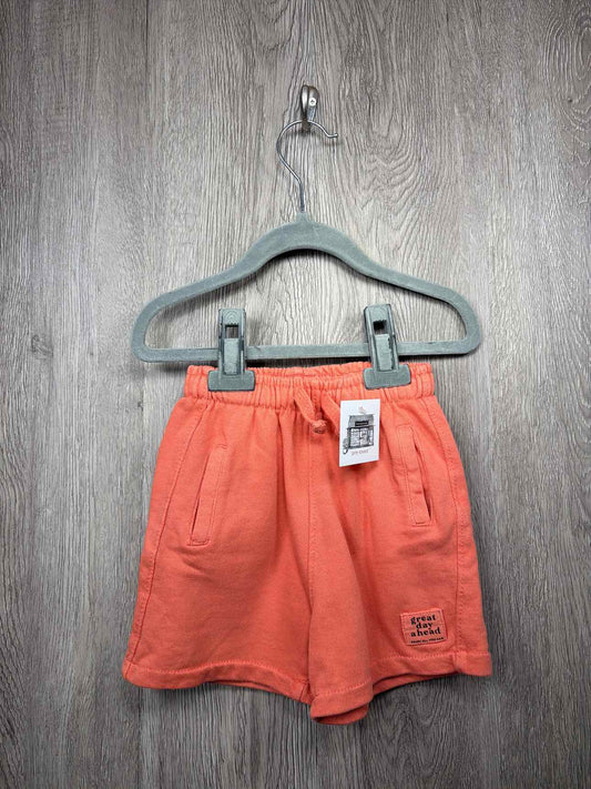 Zara Size 4y Shorts