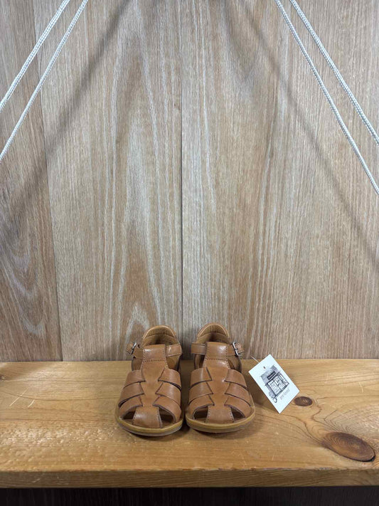 Pomdapi Size C5 Summer