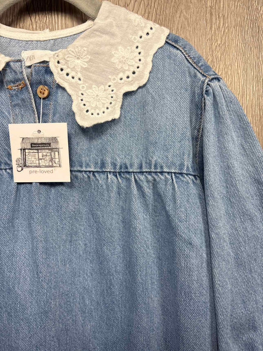 Zara Size 3-4y Dress
