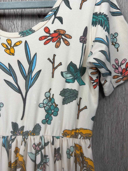 Alice and Ames Size 8y Dress
