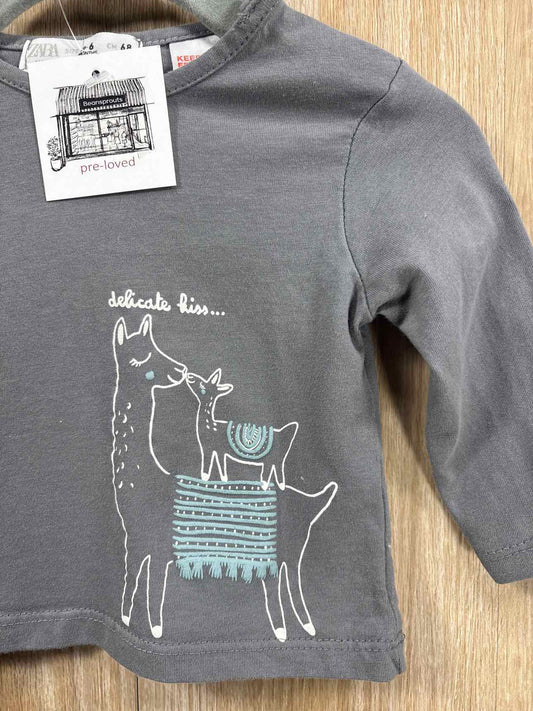Zara Size 3-6m Shirt