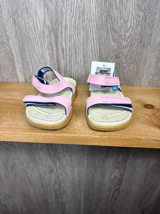 Native Size C8 Summer