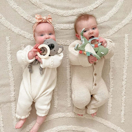 Bitzy Crinkle Sensory Toy with Teether - Dino