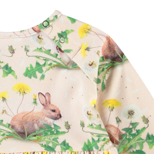 Charmaine - Bunnies united