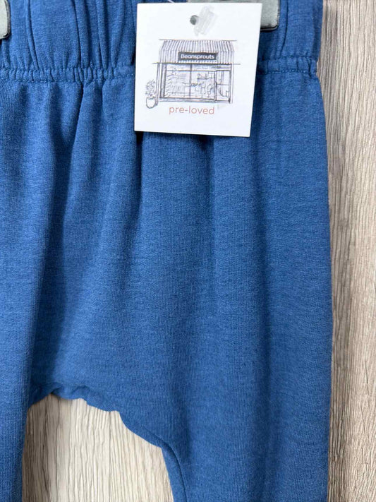 Whistle and Flute Size 12-18m Pants